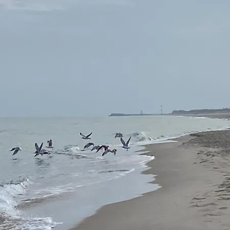 Magnolia ベッド・アンド・ブレックファスト