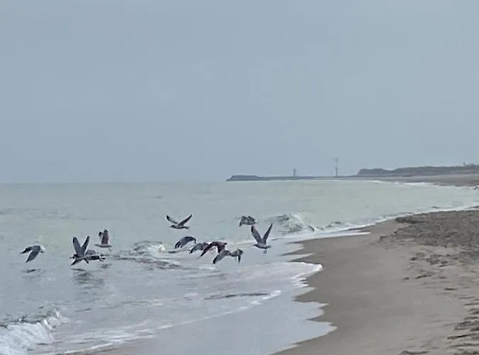 Magnolia ベッド・アンド・ブレックファスト