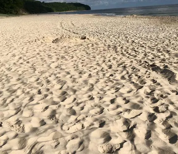 Oda ve Kahvaltı Magnolia